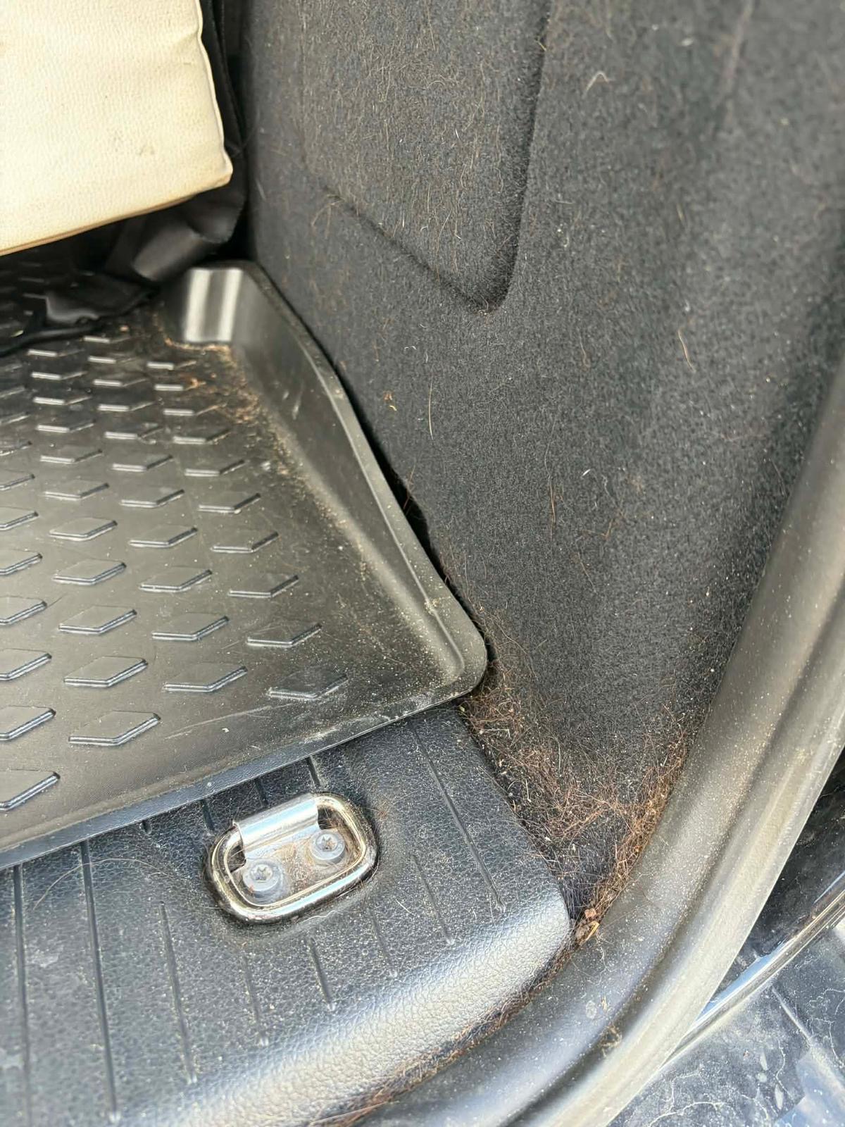 Avant nettoyage — photo 1